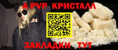 шишки Кингисепп