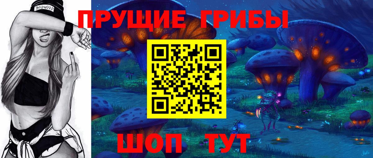 Галлюциногенные грибы GOLDEN TEACHER Котлас