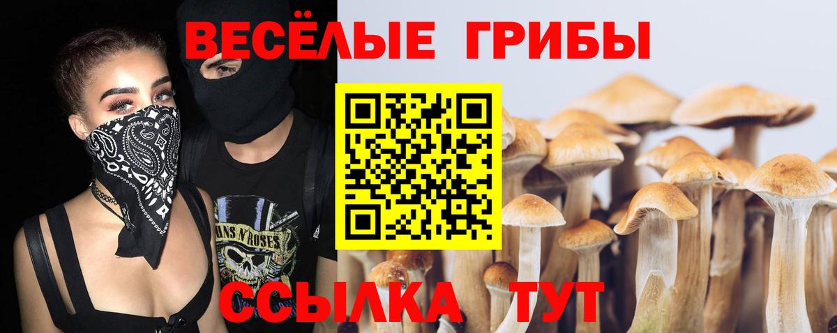 Котлас  Галлюциногенные грибы MAGIC MUSHROOMS  Вход с VPN 